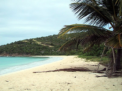 Tortuga Beach