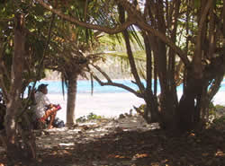 Shady area perfect for reading on Flamenco Beach
