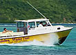 Culebra Water Taxi in Culebra