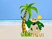 Naniqui Rentals in Culebra