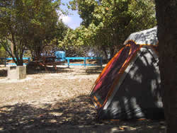 Acampar en Culebra's Playa Flamenco