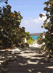 Trail to Flamenco Beach, Culebra