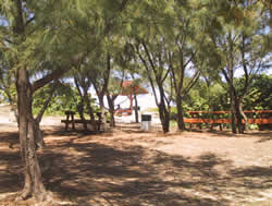 Flamenco beach camping grounds
