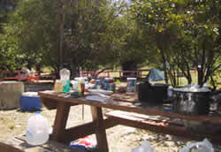 Cooking and provisions on Flamenco beach